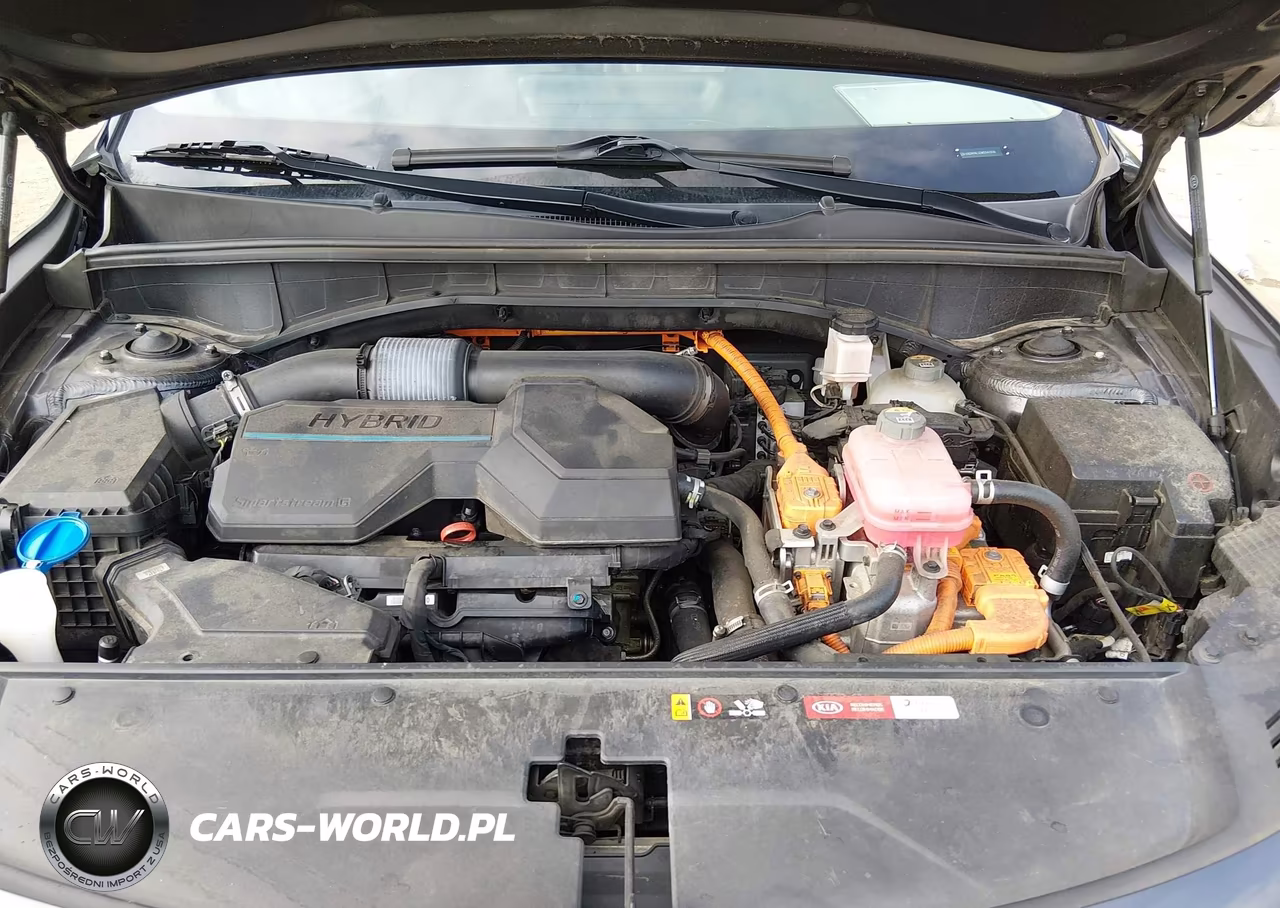 2021 Kia Sorento Hybrid Ex VIN:KNDRH4LG5M5040938 - 10