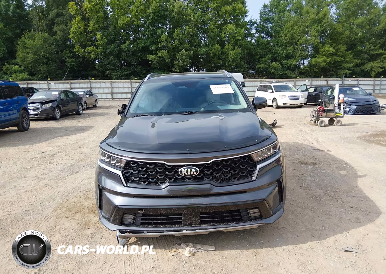 2021 Kia Sorento Hybrid Ex VIN:KNDRH4LG5M5040938 - 12