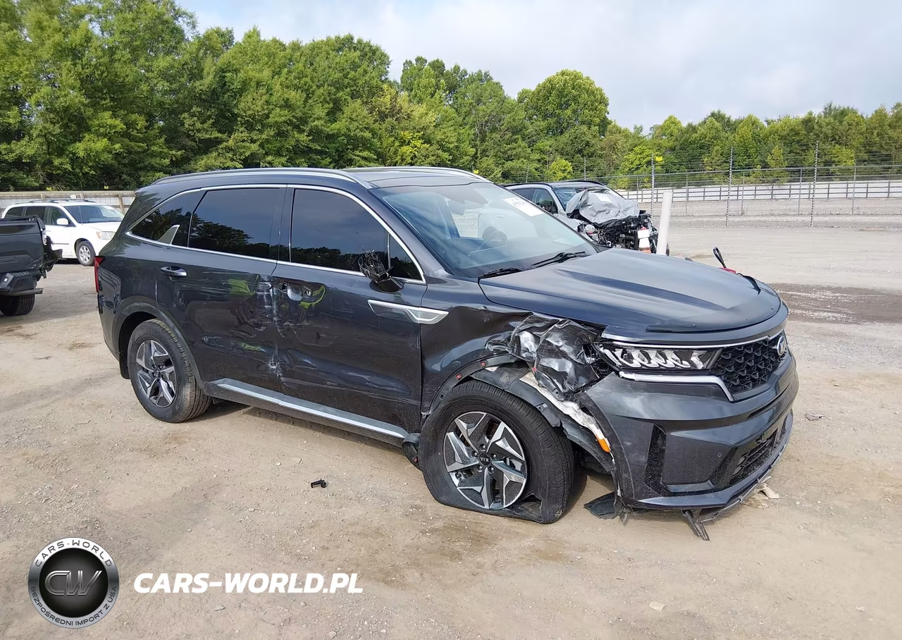 2021 Kia Sorento Hybrid Ex VIN:KNDRH4LG5M5040938 - 6