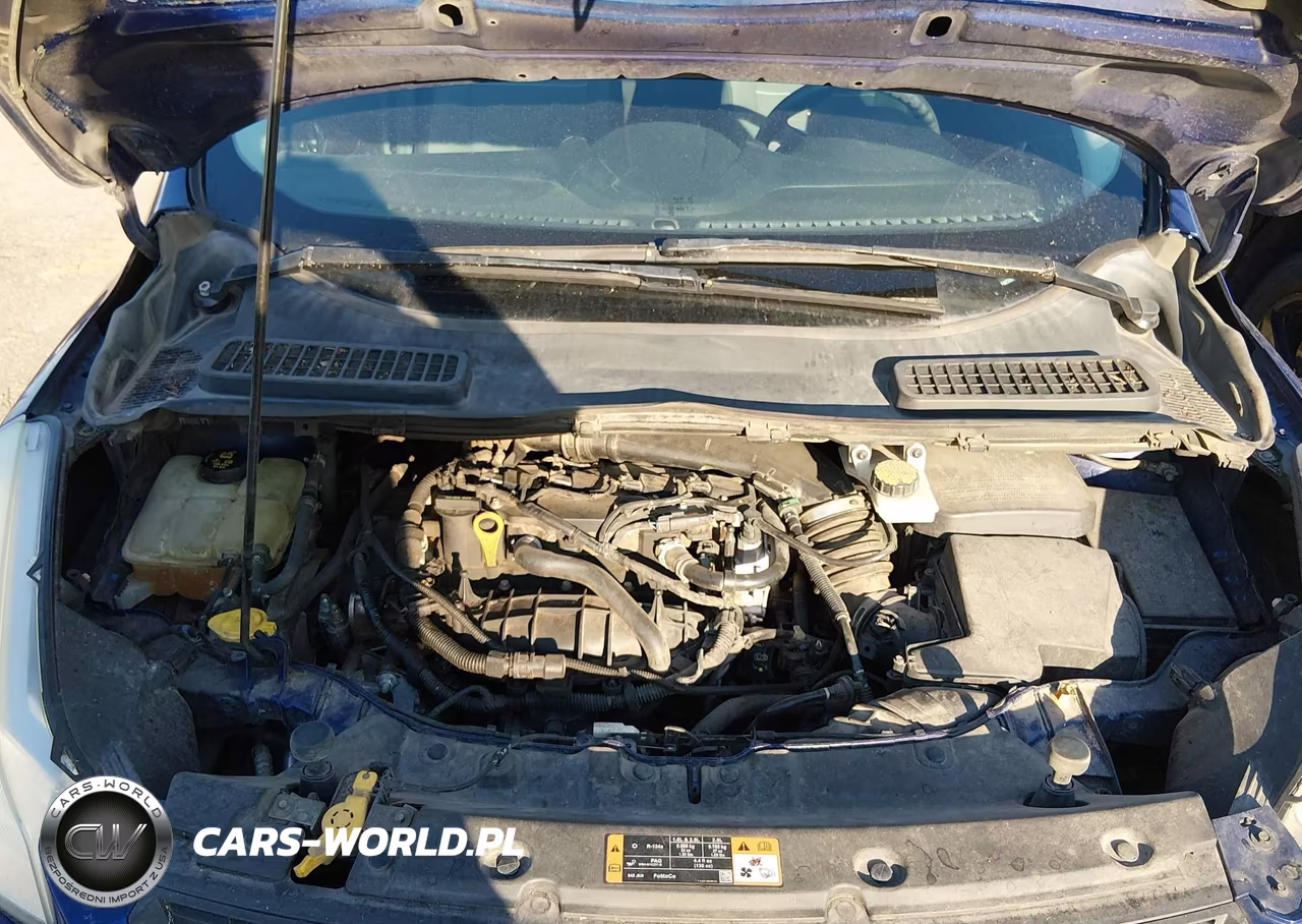 2014 Ford Escape Se VIN:1FMCU0GX8EUC09633 - 10
