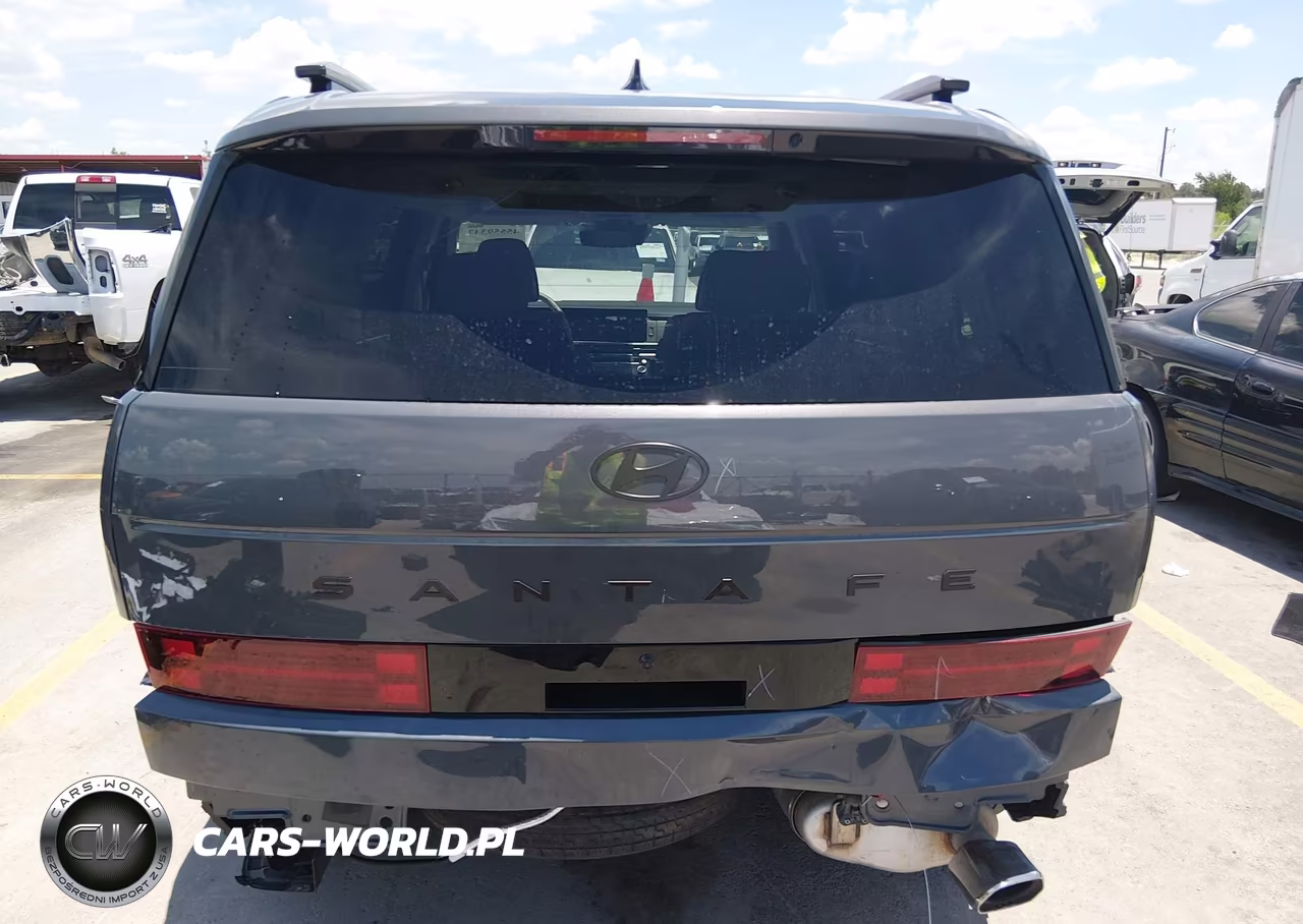 2025 Hyundai Santa Fe Calligraphy VIN:5NMP54GL8SH072204 - 17