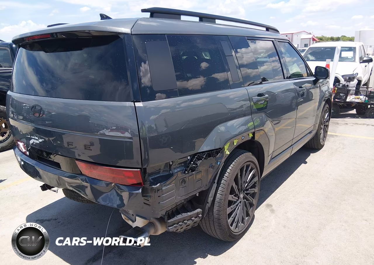 2025 Hyundai Santa Fe Calligraphy VIN:5NMP54GL8SH072204 - 4