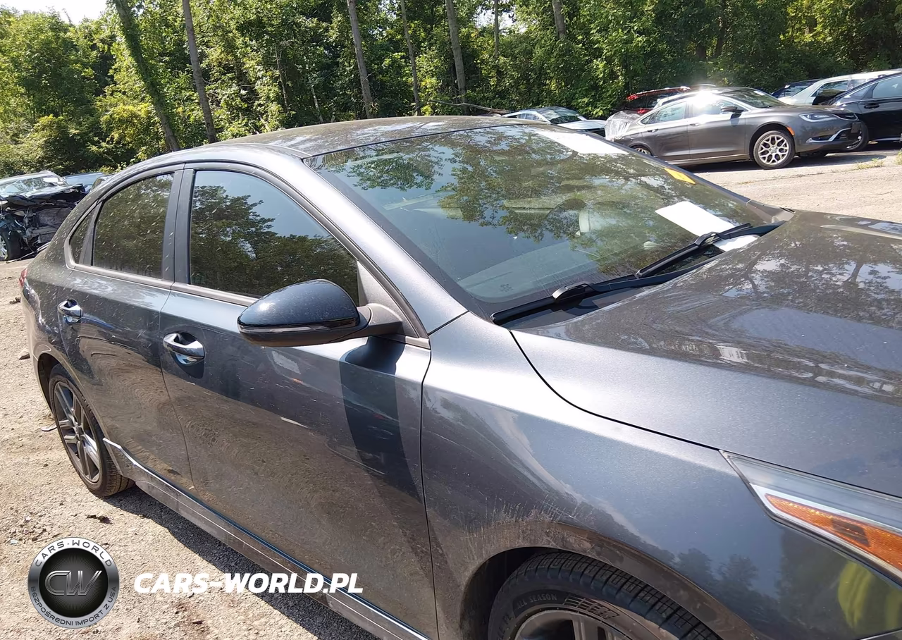 2021 Kia Forte Gt-Line VIN:3KPF34AD4ME307145 - 13