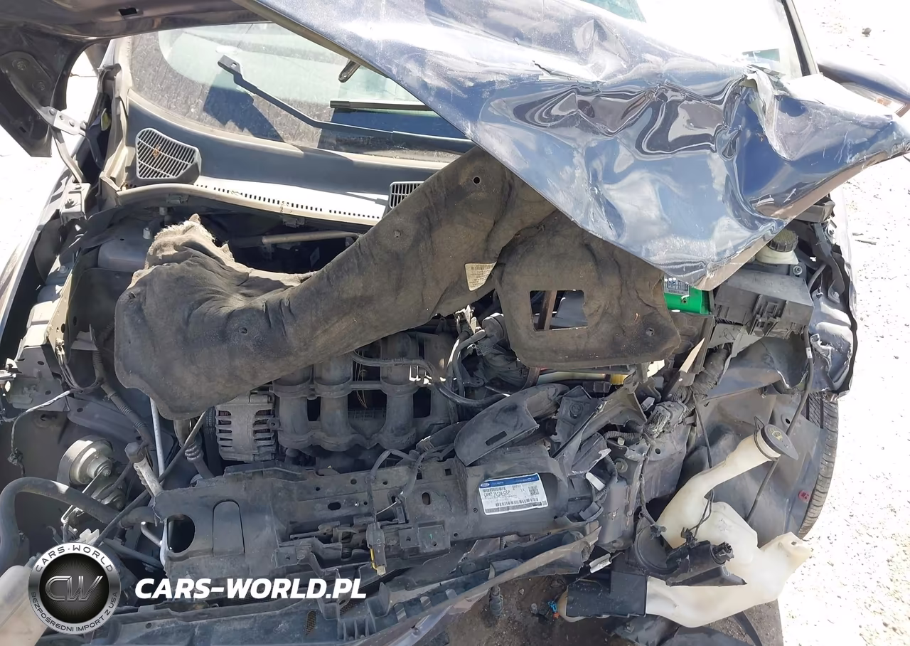 2013 Ford Fiesta Se VIN:3FADP4BJ9DM194241 - 10