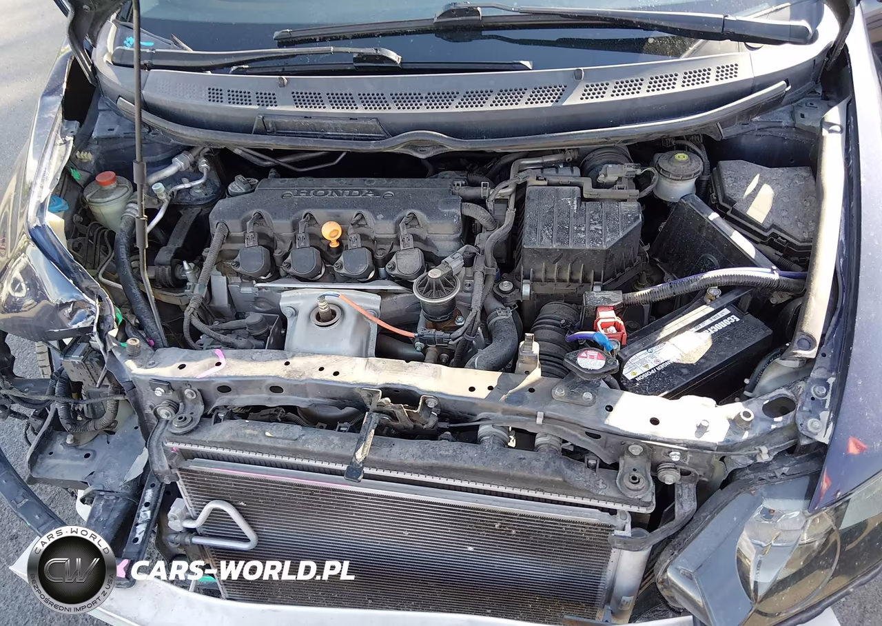 2010 Honda Civic Lx VIN:19XFA1F52AE060287 - 10