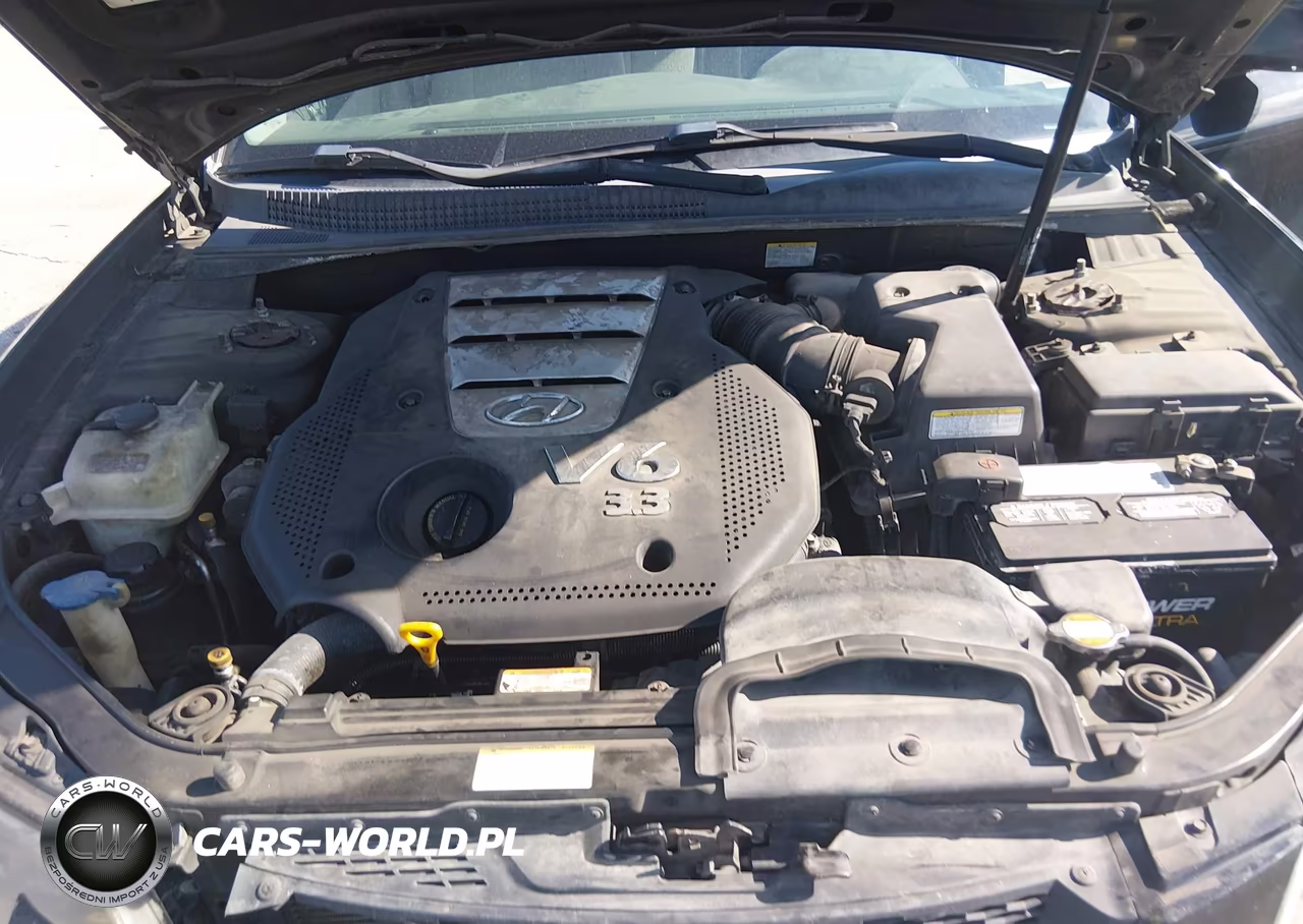 2006 Hyundai Sonata Gls V6-Lx V6 VIN:5NPEU46F86H050069 - 10