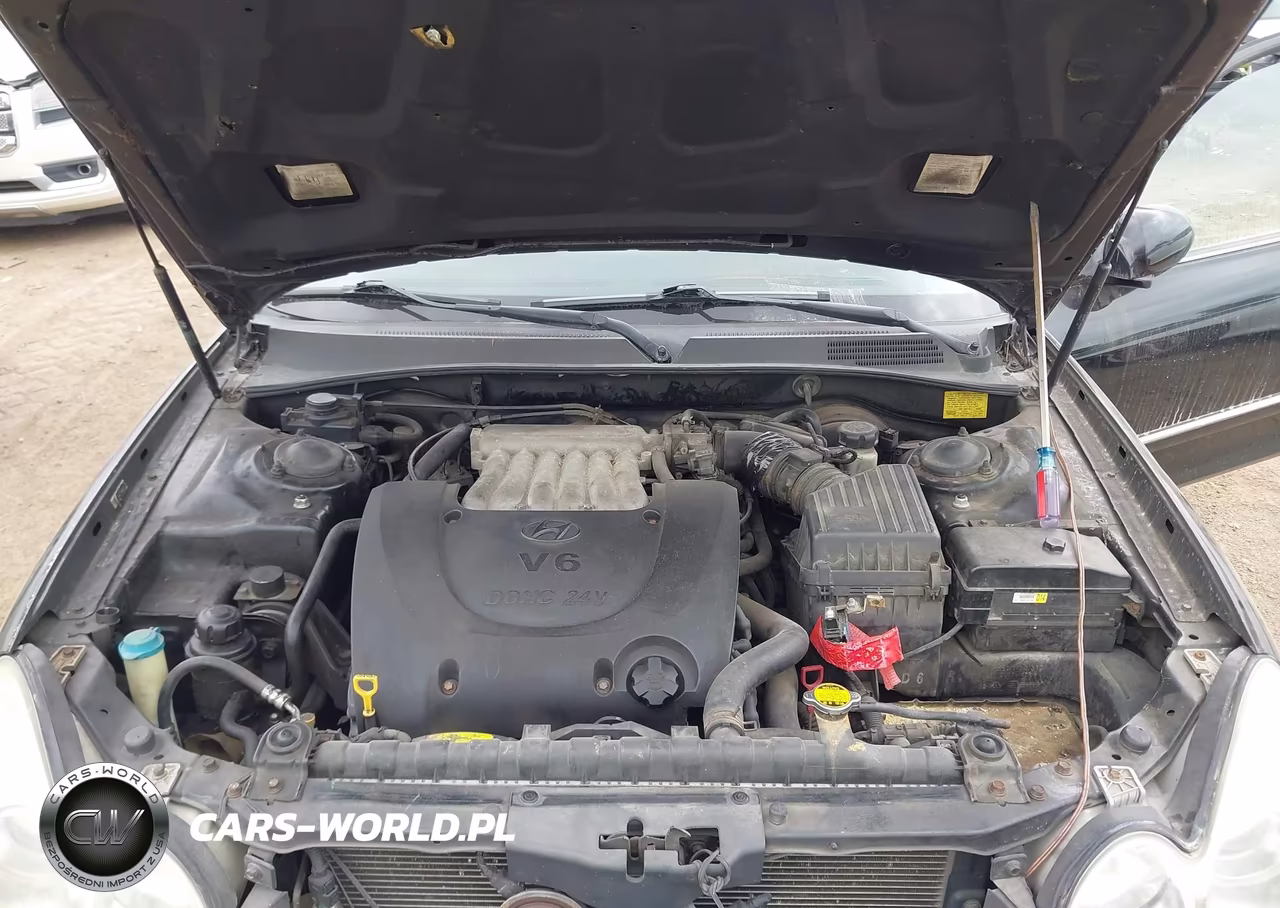2004 Hyundai Sonata Gls-Lx VIN:KMHWF35H54A918606 - 10