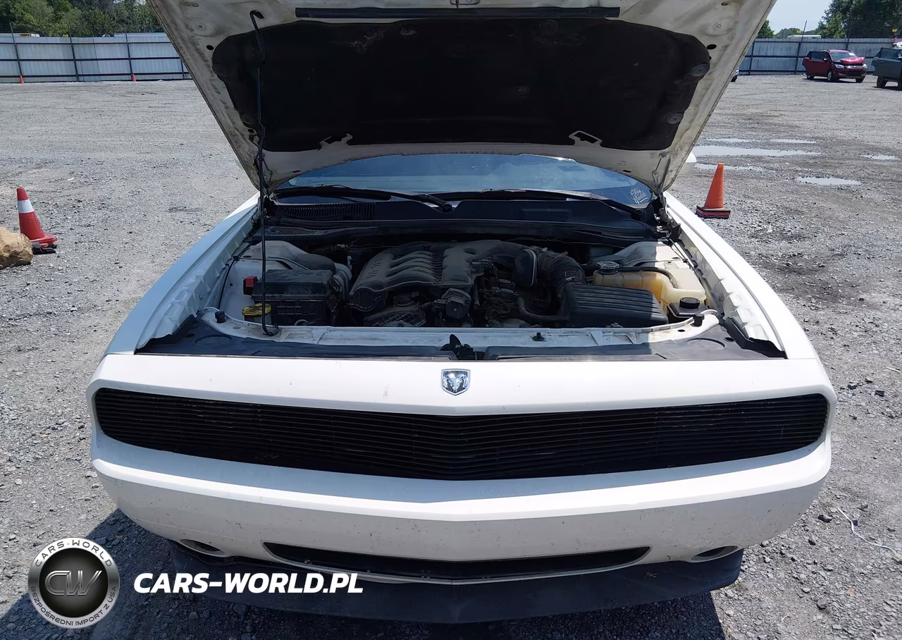 2010 Dodge Challenger Se VIN:2B3CJ4DV4AH141157 - 10