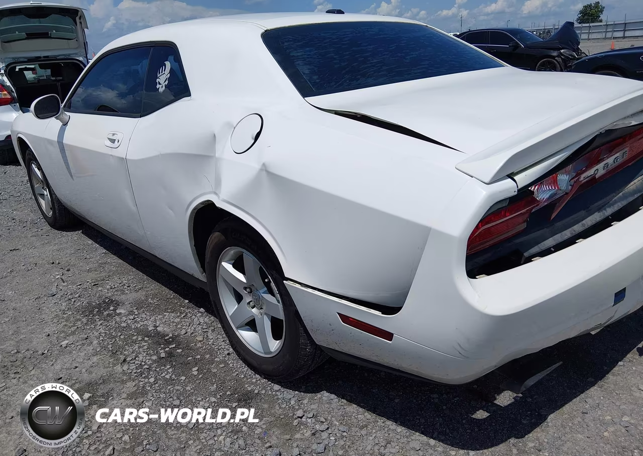 2010 Dodge Challenger Se VIN:2B3CJ4DV4AH141157 - 12