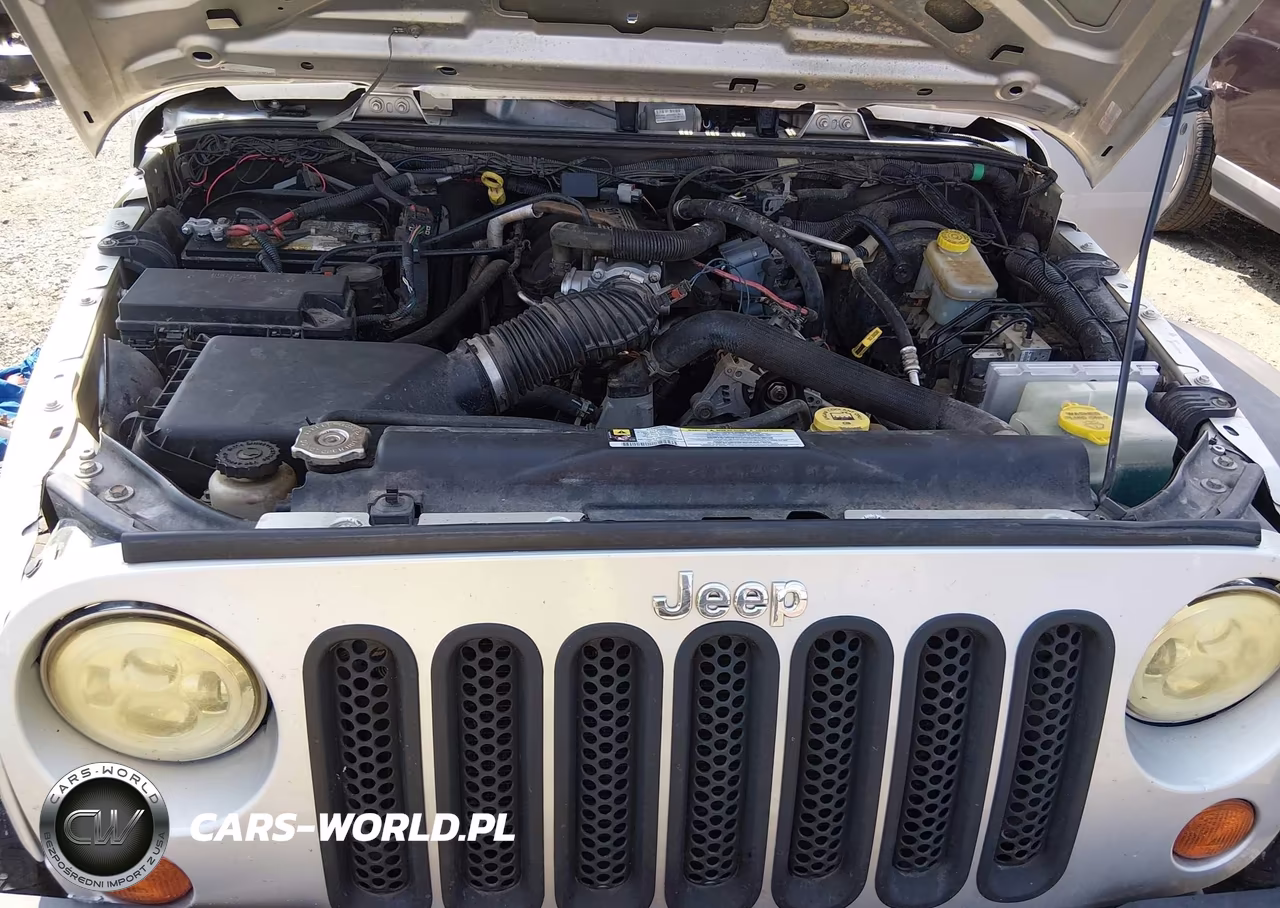 2007 Jeep Wrangler X VIN:1J4FA24187L178134 - 10