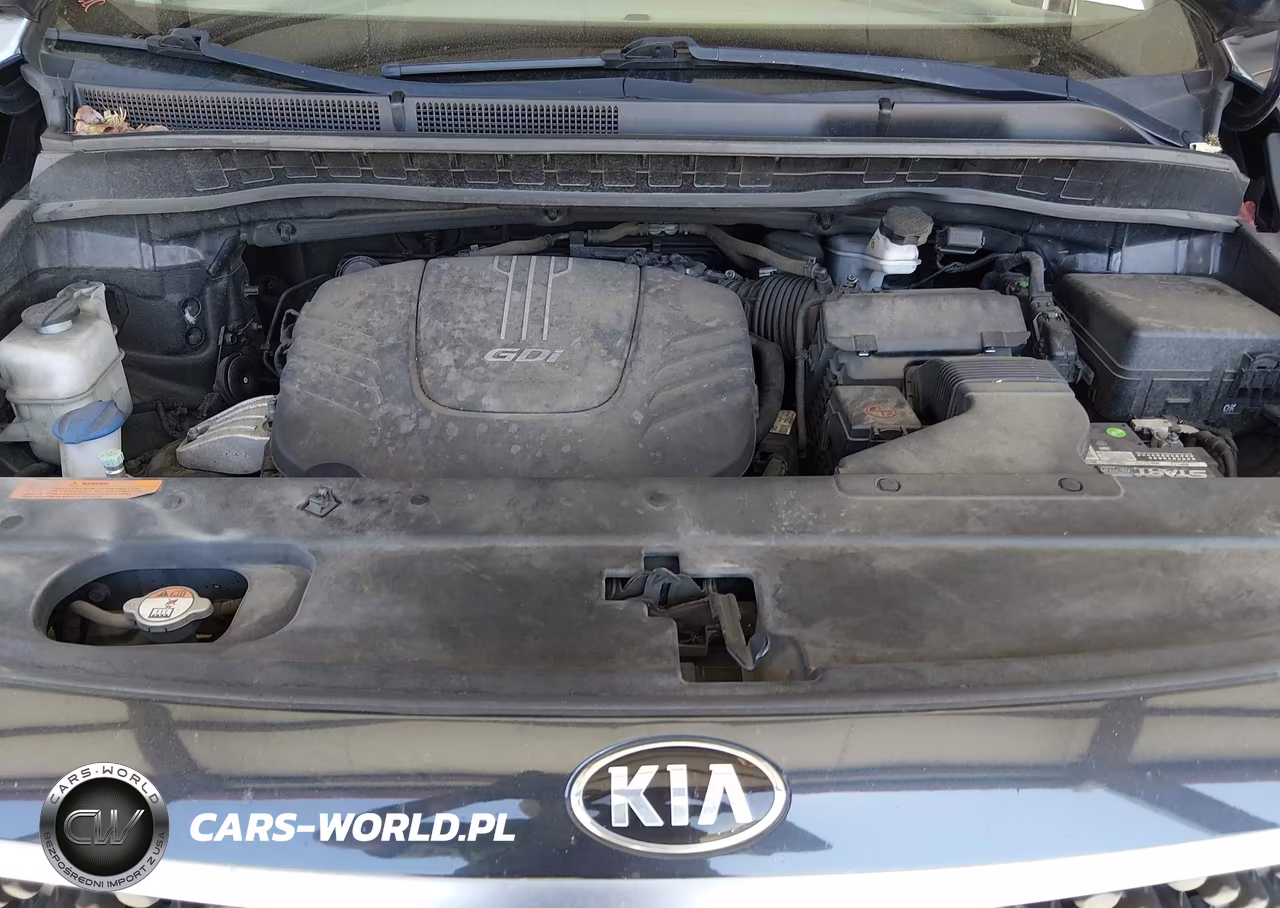 2016 Kia Sedona Sx Luxury VIN:KNDME5C17G6117294 - 10