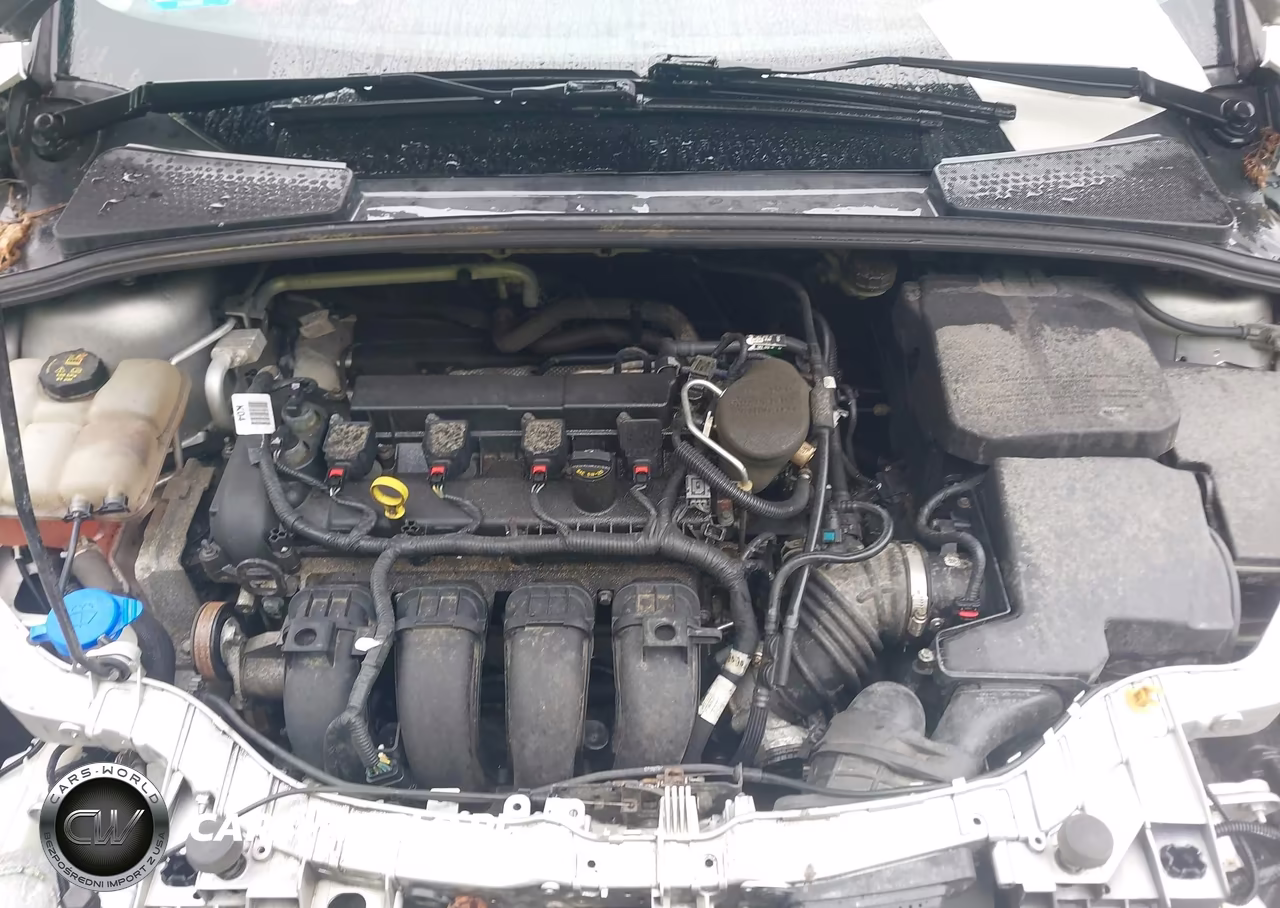 2014 Ford Focus Se VIN:1FADP3F26EL424365 - 10