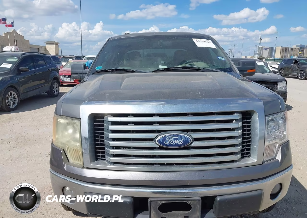 2010 Ford F-150 Xl-Xlt VIN:1FTEW1E87AFA04375 - 12