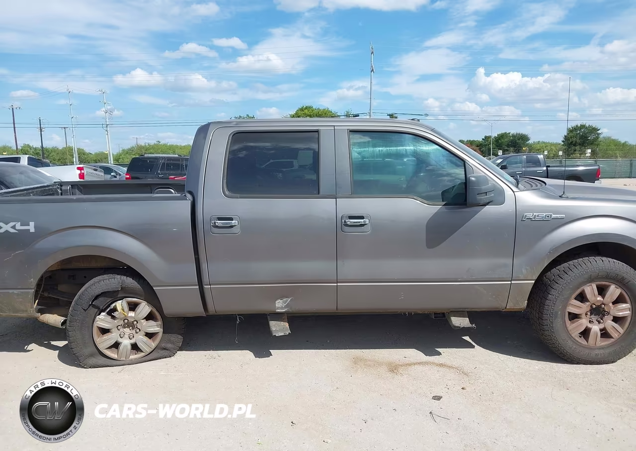 2010 Ford F-150 Xl-Xlt VIN:1FTEW1E87AFA04375 - 13
