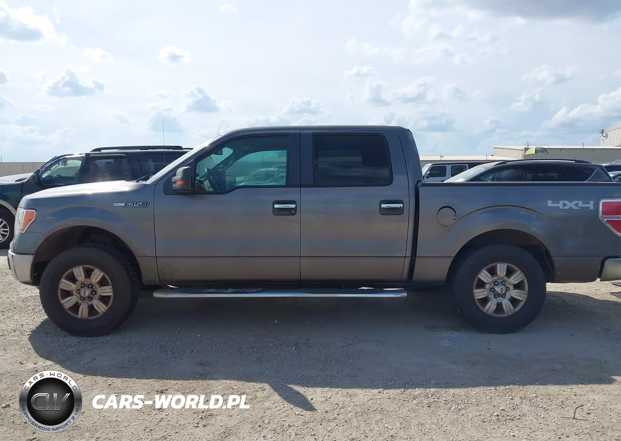 2010 Ford F-150 Xl-Xlt VIN:1FTEW1E87AFA04375 - 14