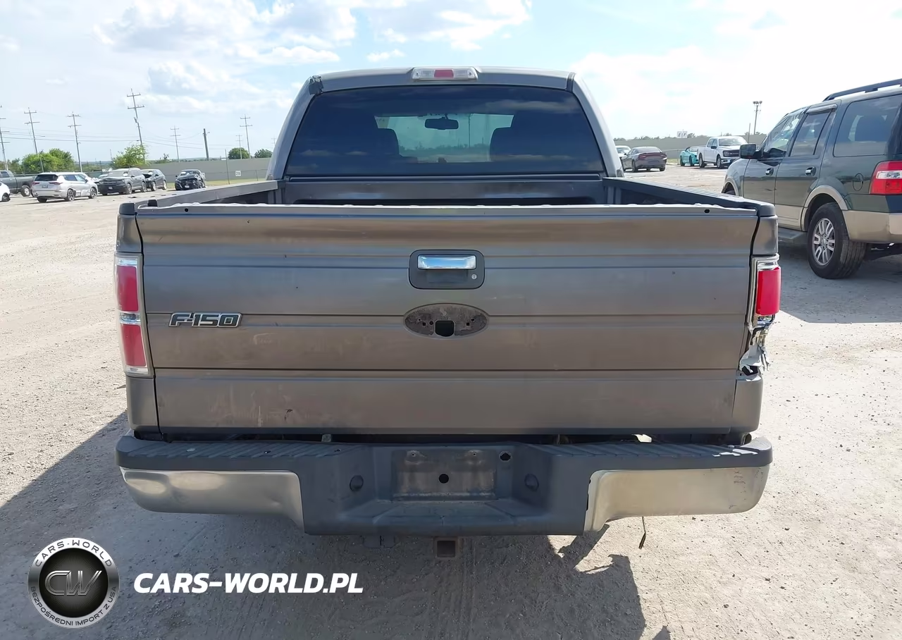 2010 Ford F-150 Xl-Xlt VIN:1FTEW1E87AFA04375 - 16