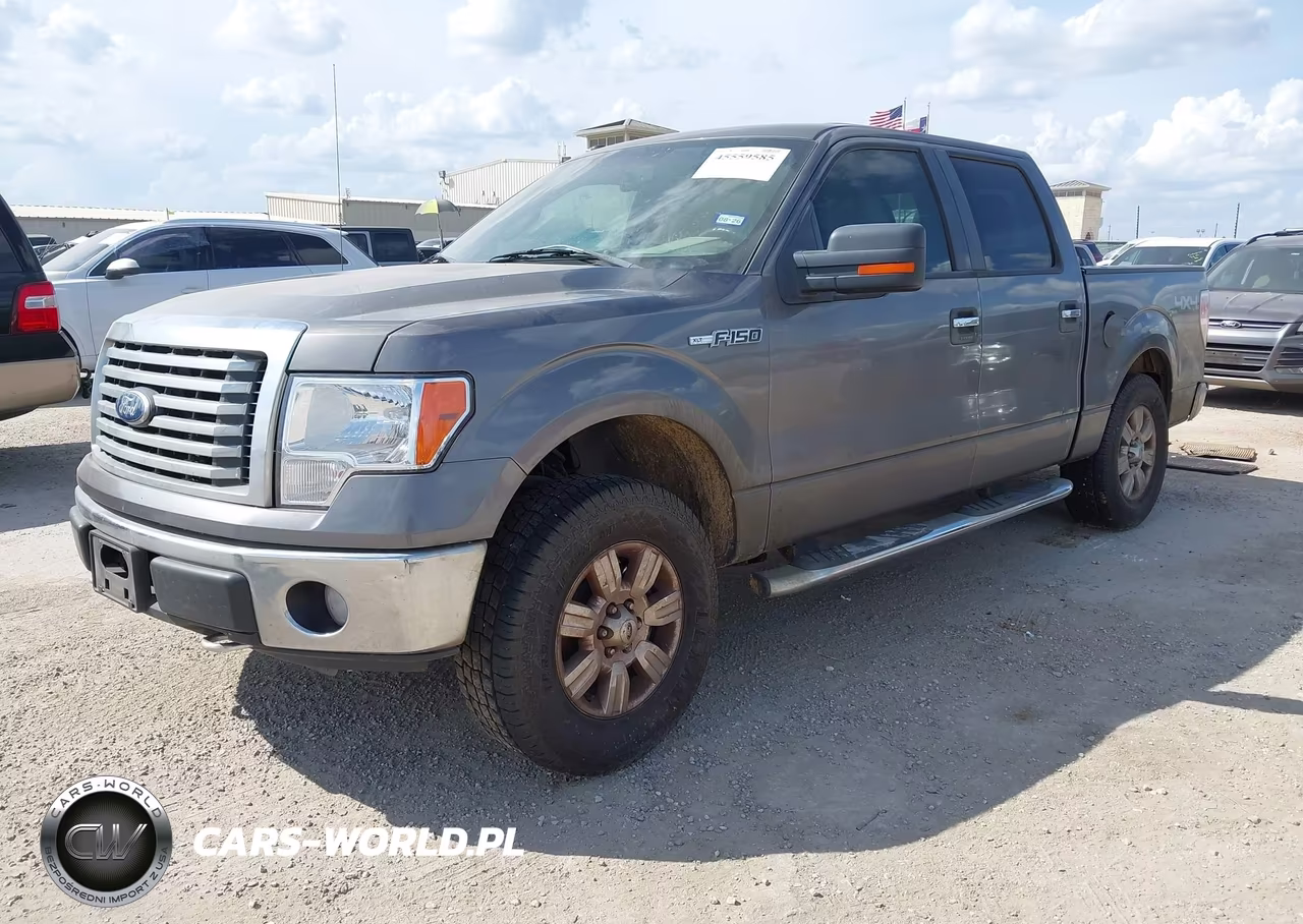 2010 Ford F-150 Xl-Xlt VIN:1FTEW1E87AFA04375 - 2