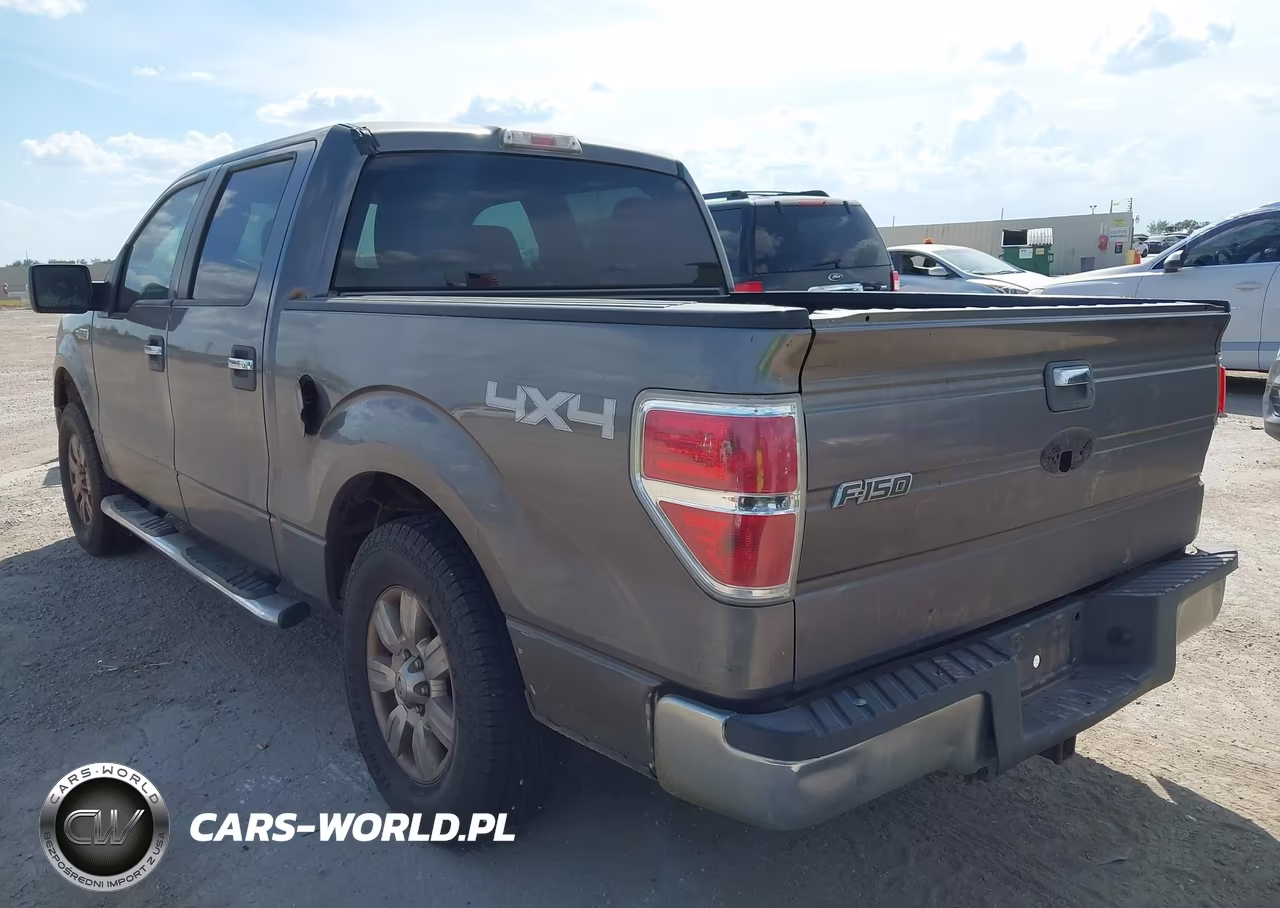 2010 Ford F-150 Xl-Xlt VIN:1FTEW1E87AFA04375 - 3