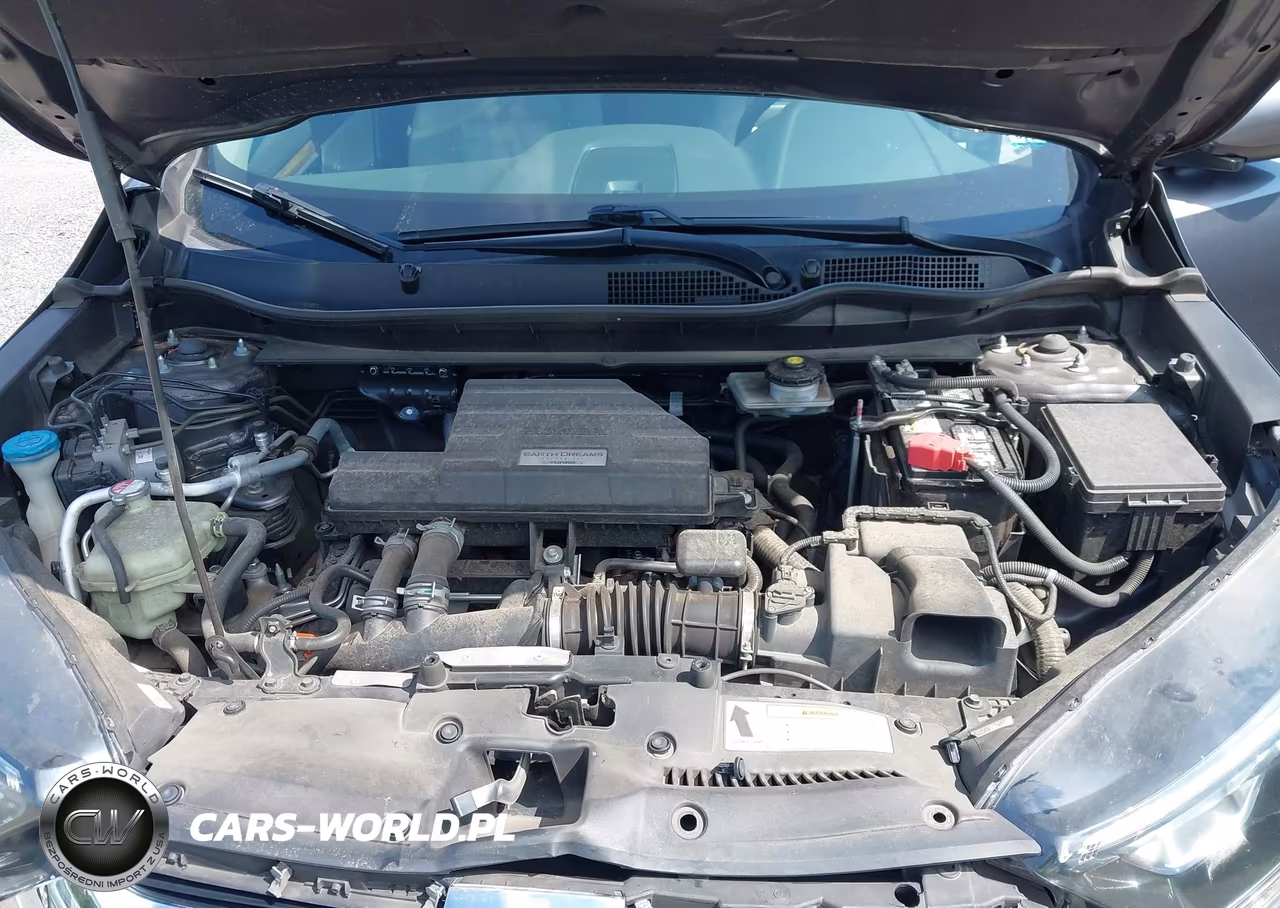 2019 Honda Cr-V Ex VIN:5J6RW1H56KL001676 - 10