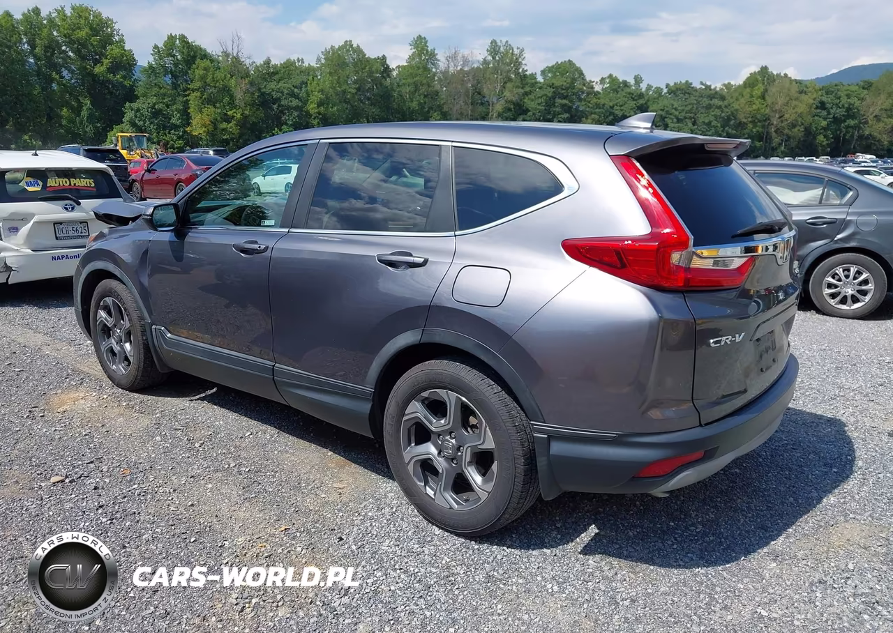 2019 Honda Cr-V Ex VIN:5J6RW1H56KL001676 - 3