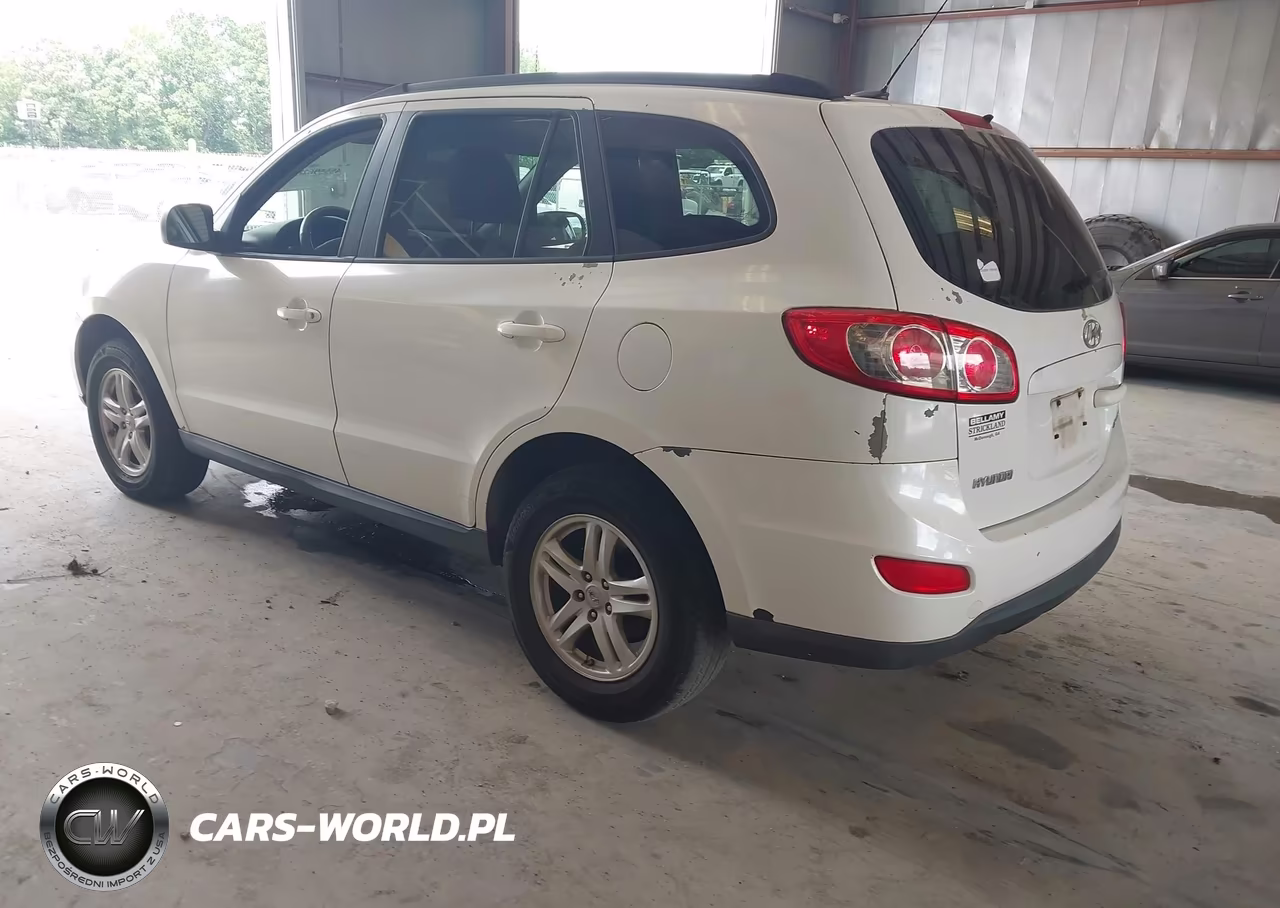 2010 Hyundai Santa Fe Gls VIN:5NMSG3AB0AH354401 - 3