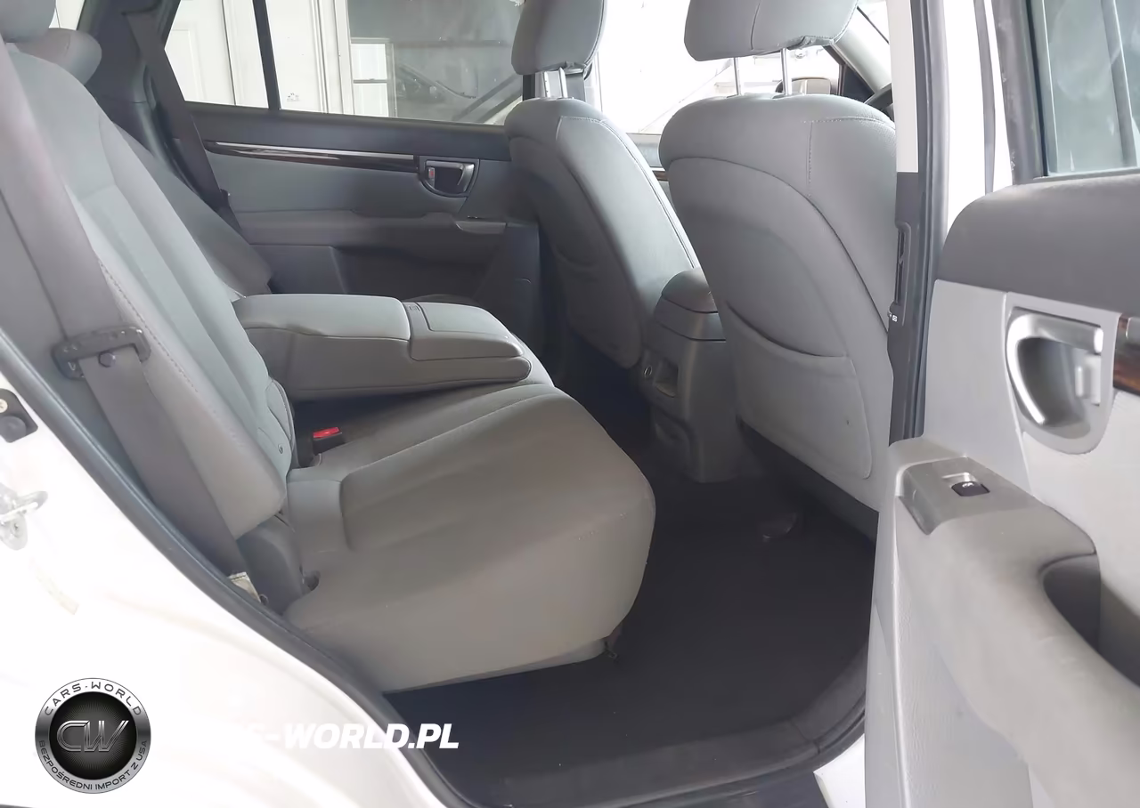 2010 Hyundai Santa Fe Gls VIN:5NMSG3AB0AH354401 - 8