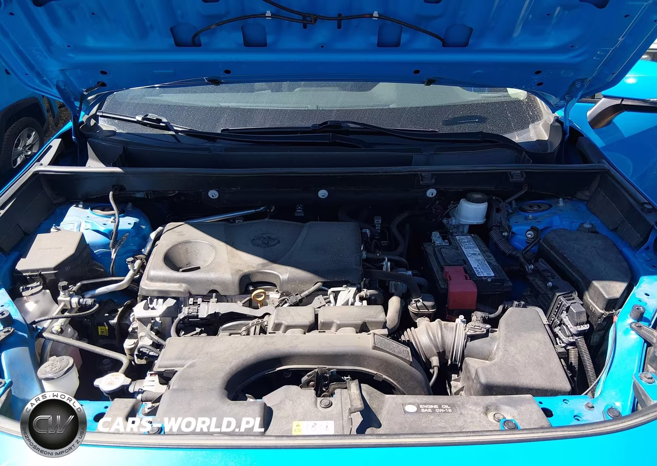 2019 Toyota Rav4 Xle VIN:2T3P1RFV4KC010498 - 10