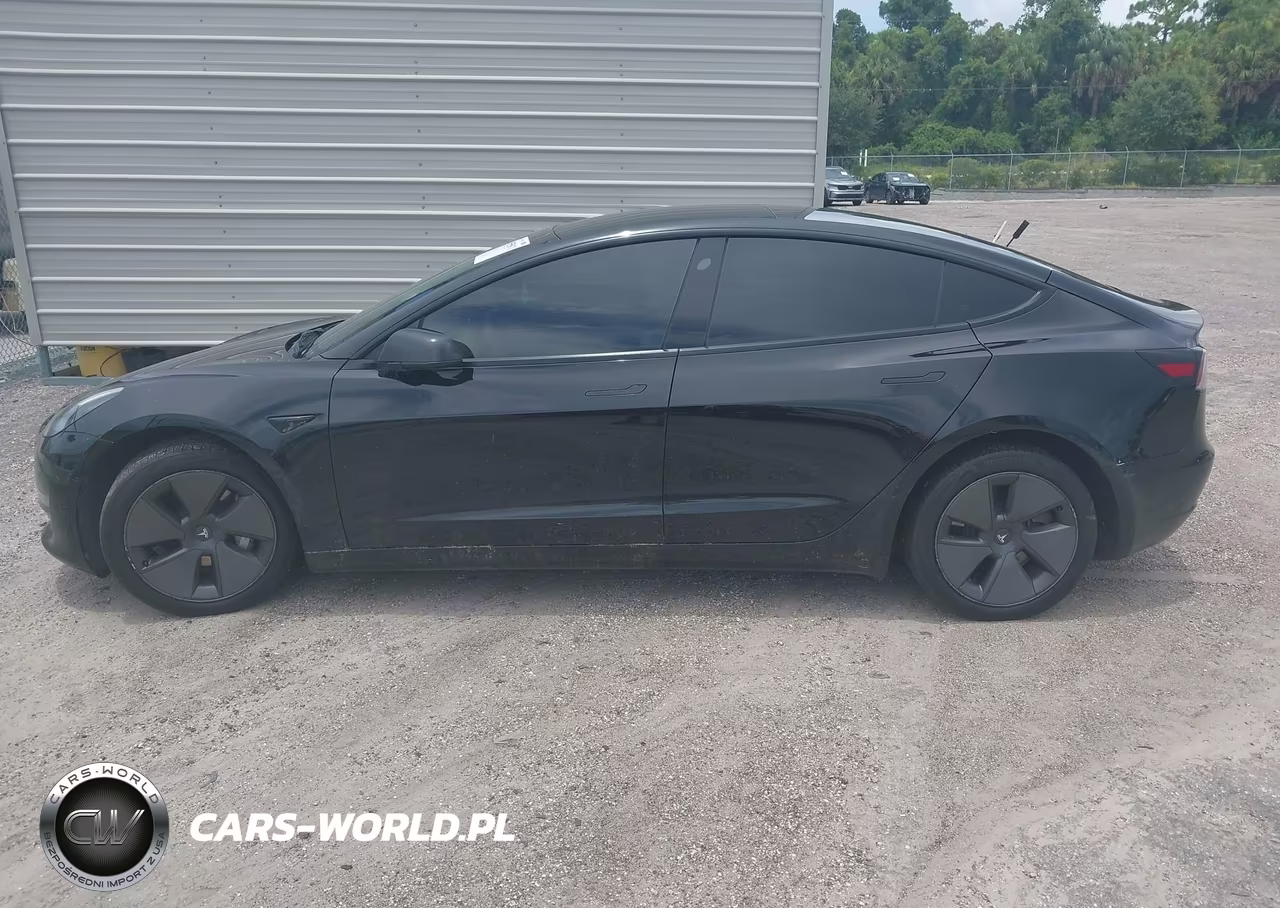 2023 Tesla Model 3 Rear-Wheel Drive VIN:5YJ3E1EA3PF437654 - 12