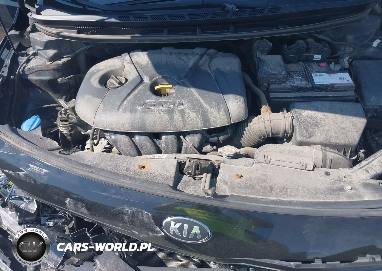 2017 Kia Forte Lx VIN:KNAFK5A84H5697383 - 10