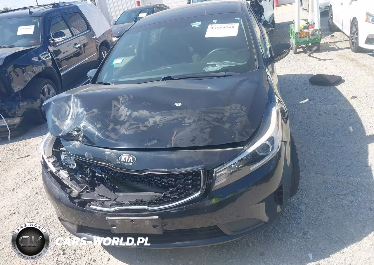 2017 Kia Forte Lx VIN:KNAFK5A84H5697383 - 12