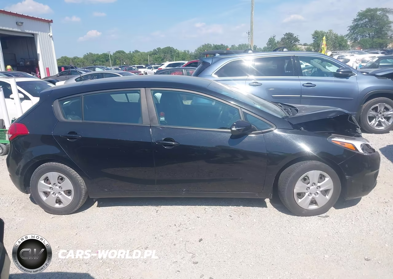 2017 Kia Forte Lx VIN:KNAFK5A84H5697383 - 13