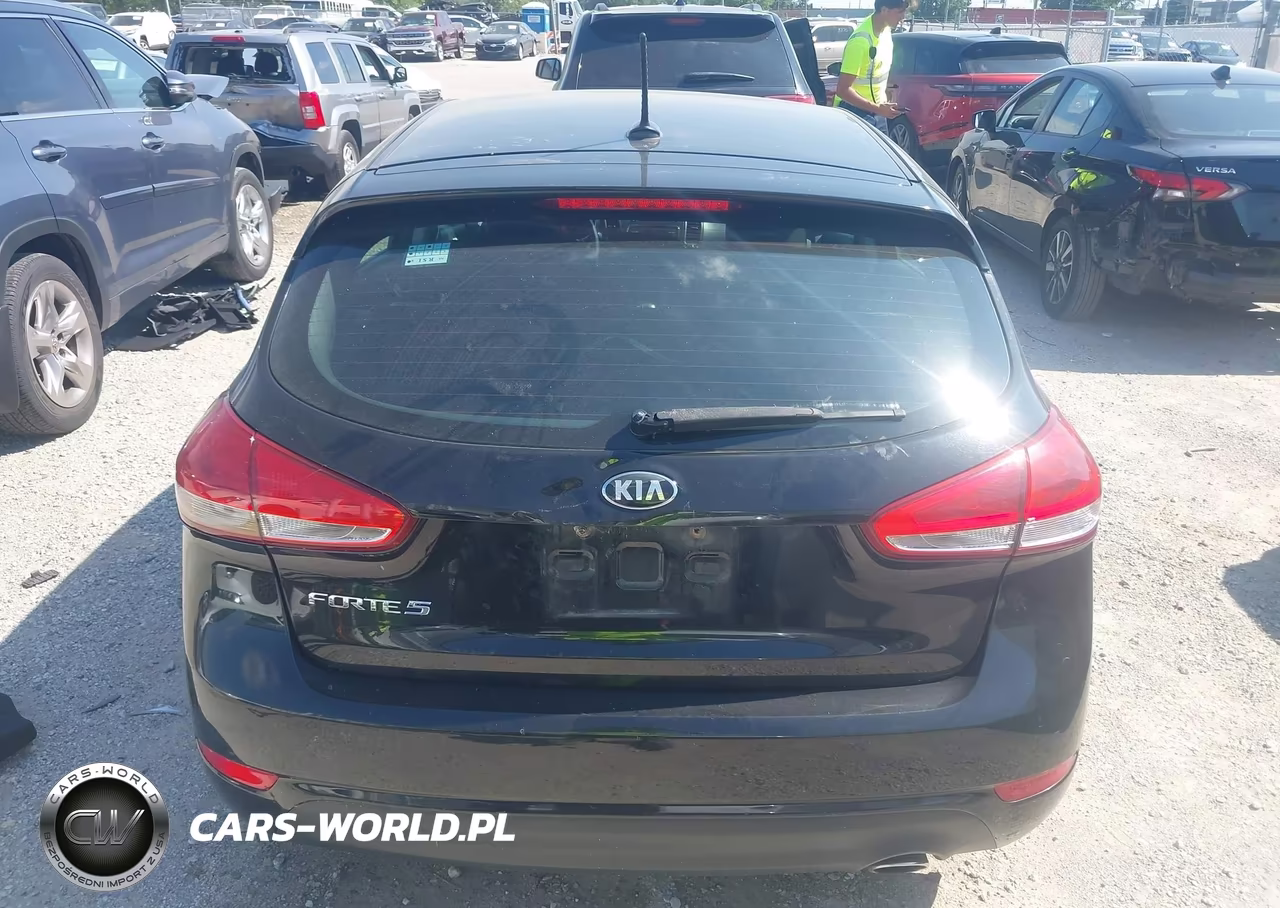 2017 Kia Forte Lx VIN:KNAFK5A84H5697383 - 16