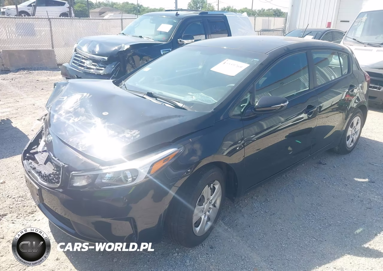 2017 Kia Forte Lx VIN:KNAFK5A84H5697383 - 2