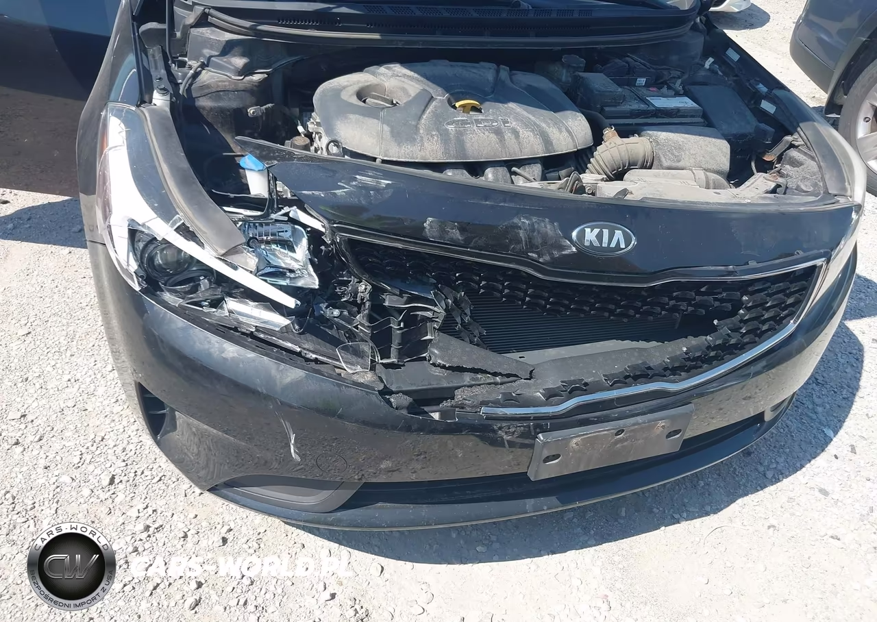 2017 Kia Forte Lx VIN:KNAFK5A84H5697383 - 6