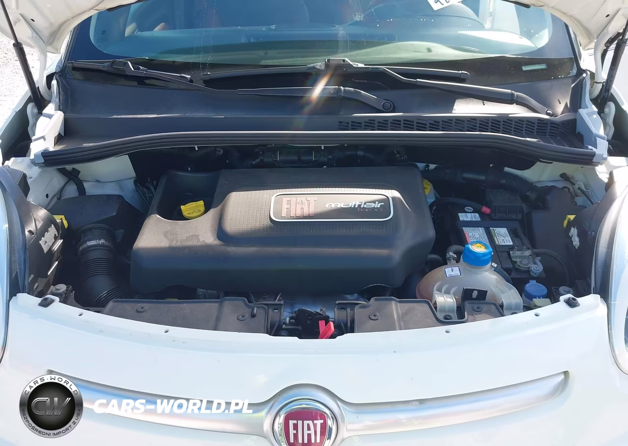 2014 Fiat 500L Trekking VIN:ZFBCFADH6EZ018235 - 10