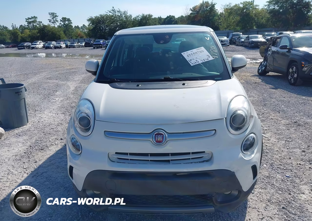 2014 Fiat 500L Trekking VIN:ZFBCFADH6EZ018235 - 12