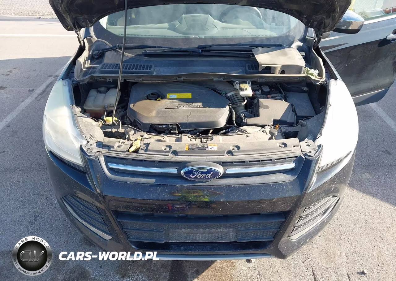 2016 Ford Escape Se VIN:1FMCU0GX0GUA49301 - 10