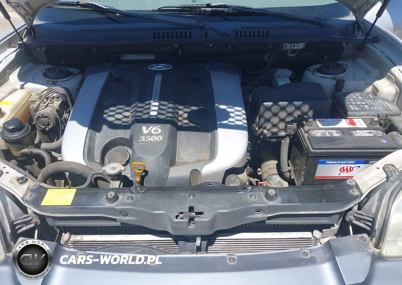 2003 Hyundai Santa Fe Gls-Lx VIN:KM8SC73E63U537058 - 10