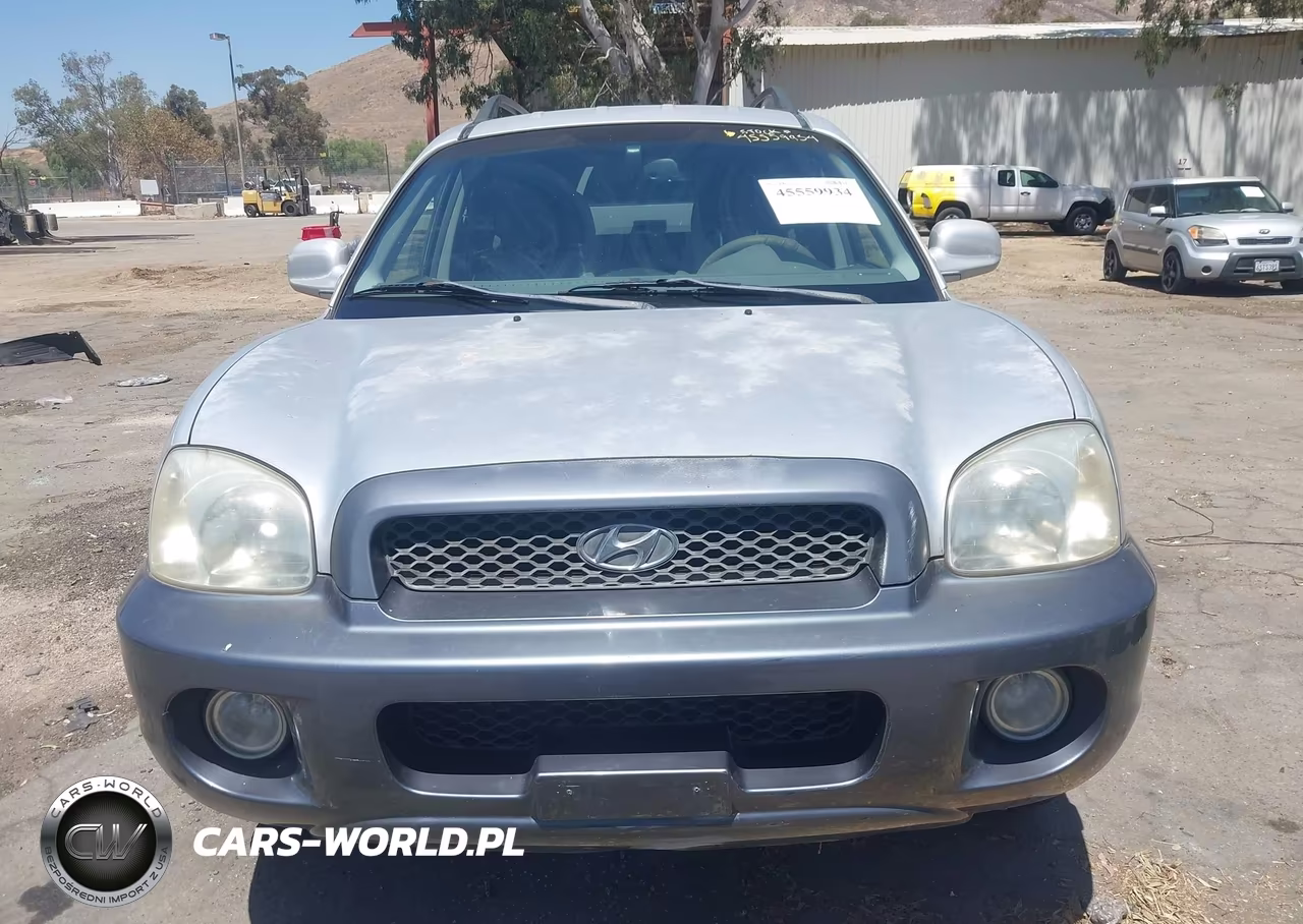 2003 Hyundai Santa Fe Gls-Lx VIN:KM8SC73E63U537058 - 6