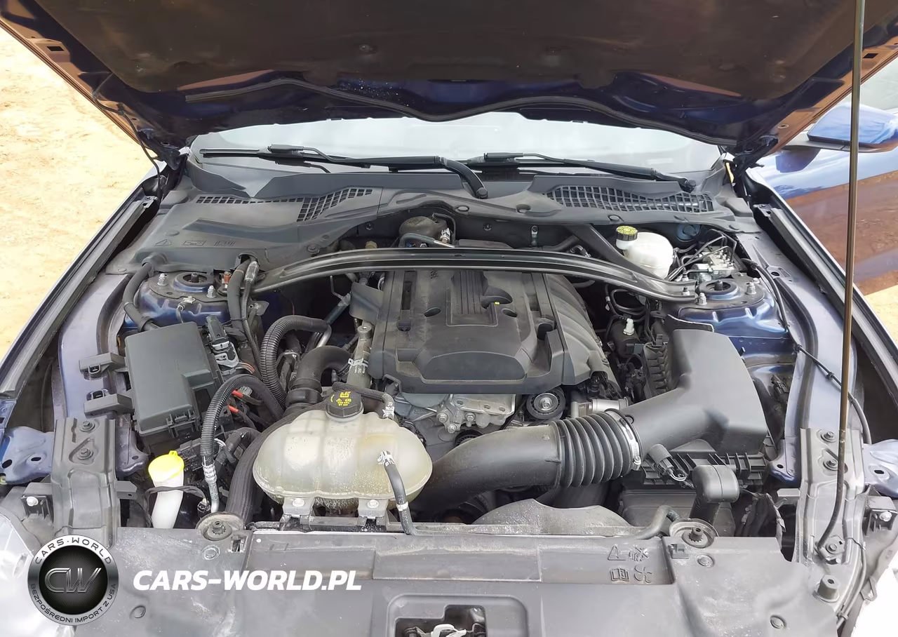 2019 Ford Mustang Ecoboost VIN:1FA6P8TH2K5199599 - 10