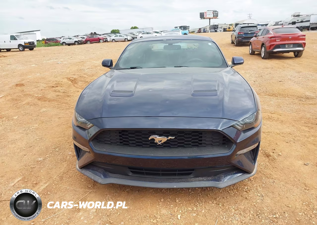 2019 Ford Mustang Ecoboost VIN:1FA6P8TH2K5199599 - 12