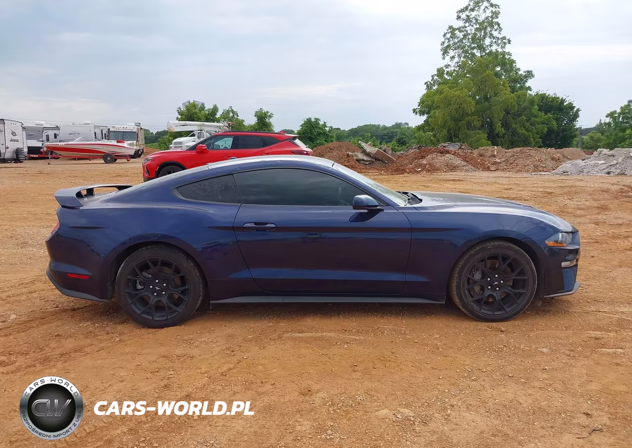 2019 Ford Mustang Ecoboost VIN:1FA6P8TH2K5199599 - 13