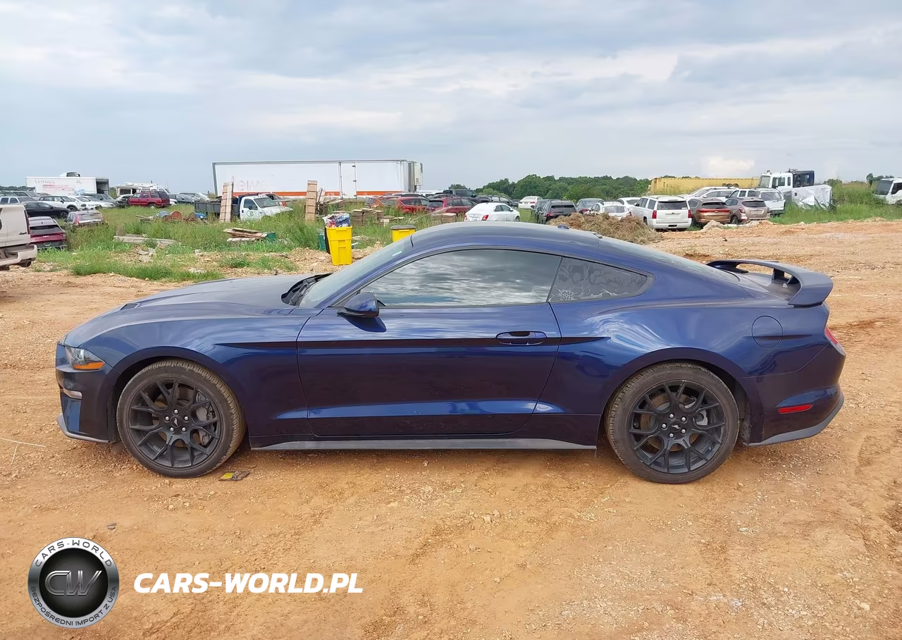 2019 Ford Mustang Ecoboost VIN:1FA6P8TH2K5199599 - 14