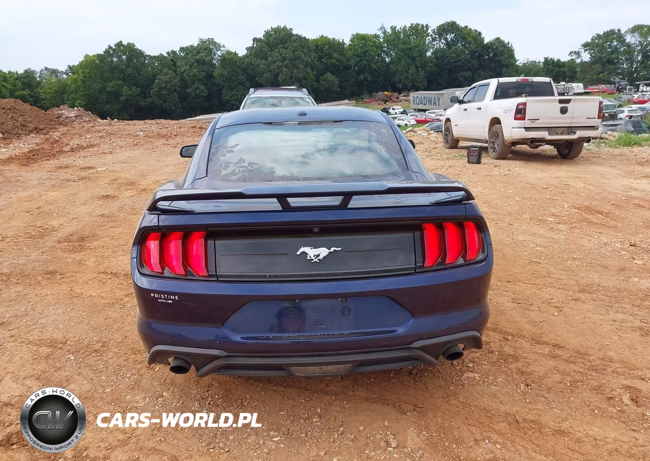 2019 Ford Mustang Ecoboost VIN:1FA6P8TH2K5199599 - 16