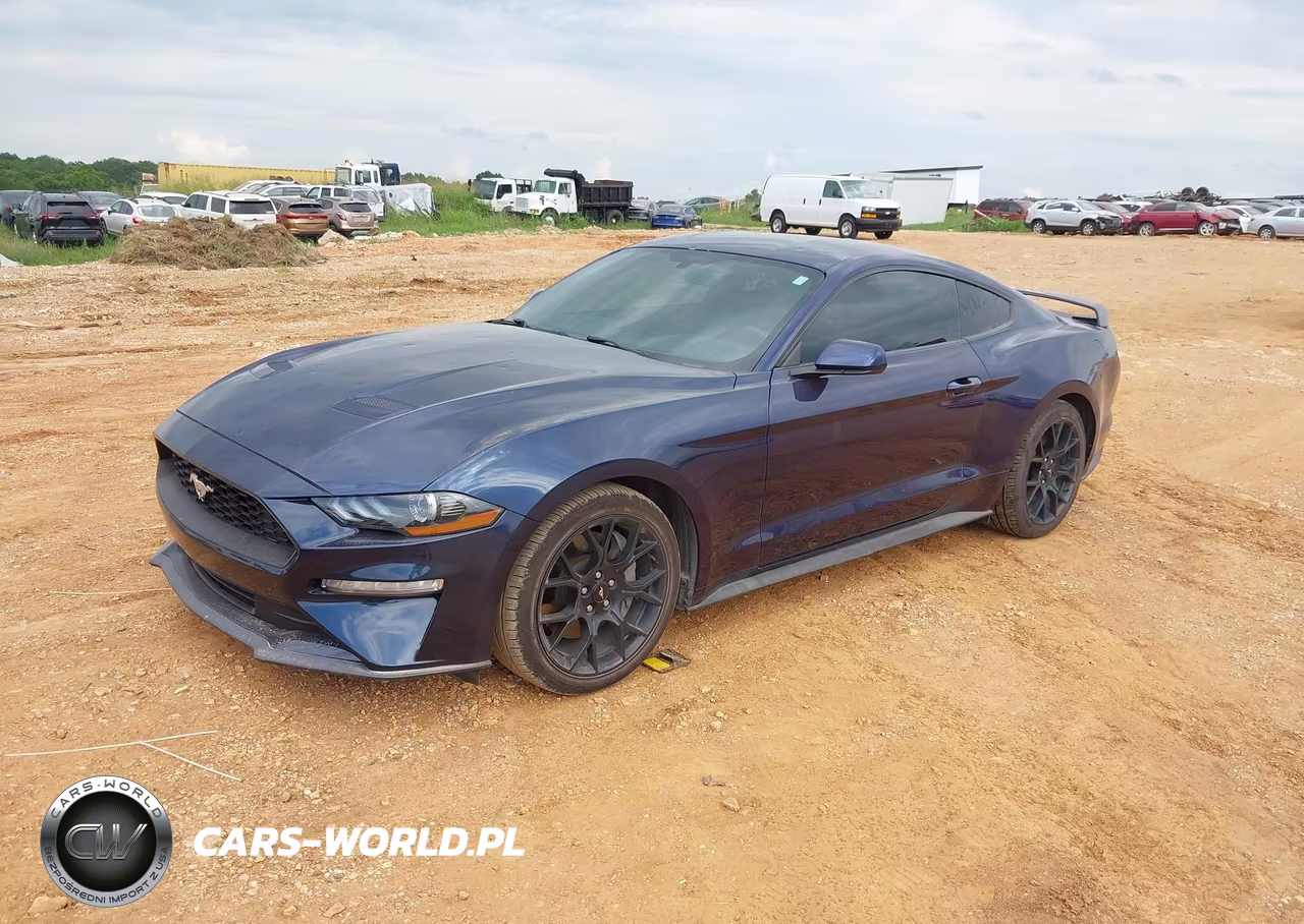 2019 Ford Mustang Ecoboost VIN:1FA6P8TH2K5199599 - 2