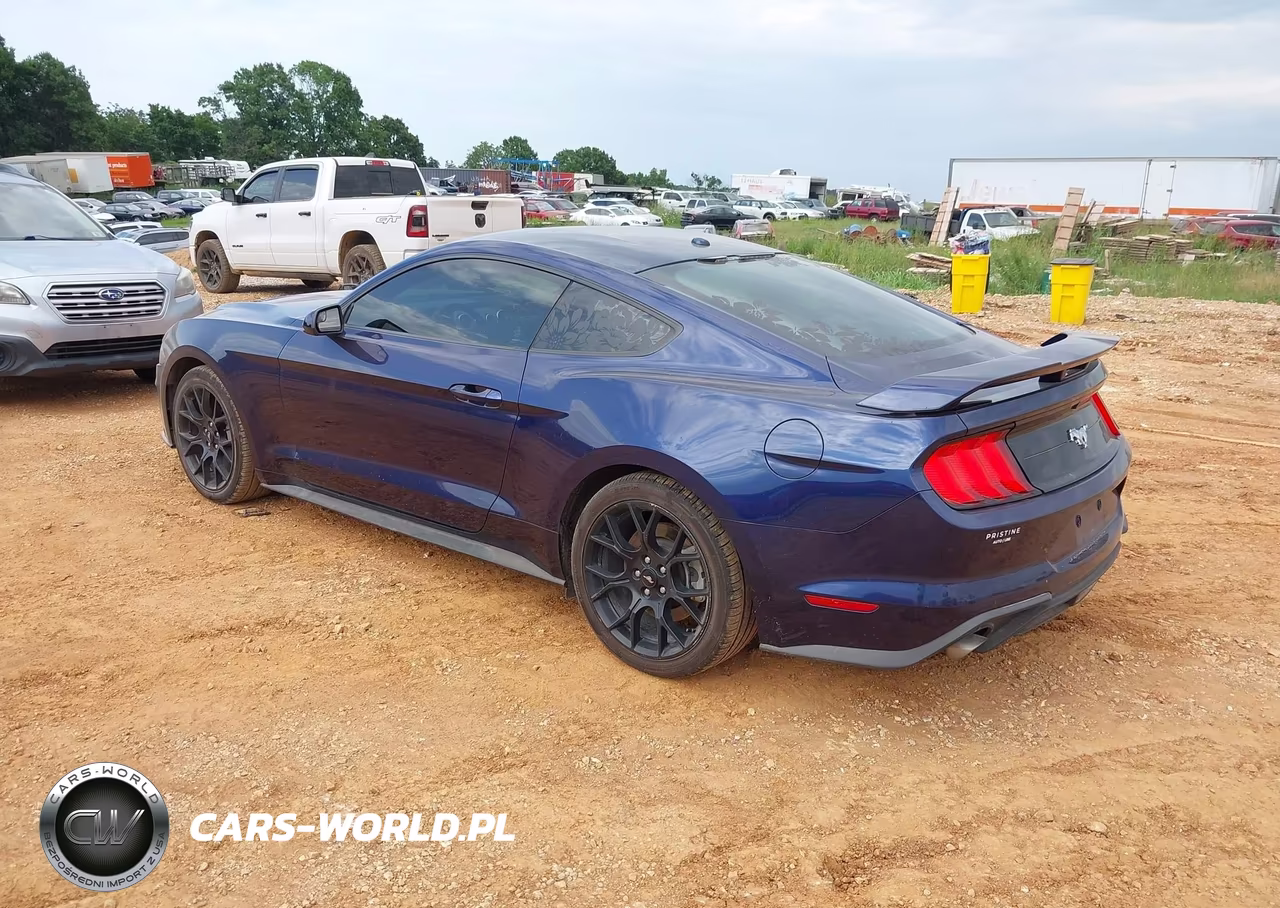 2019 Ford Mustang Ecoboost VIN:1FA6P8TH2K5199599 - 3