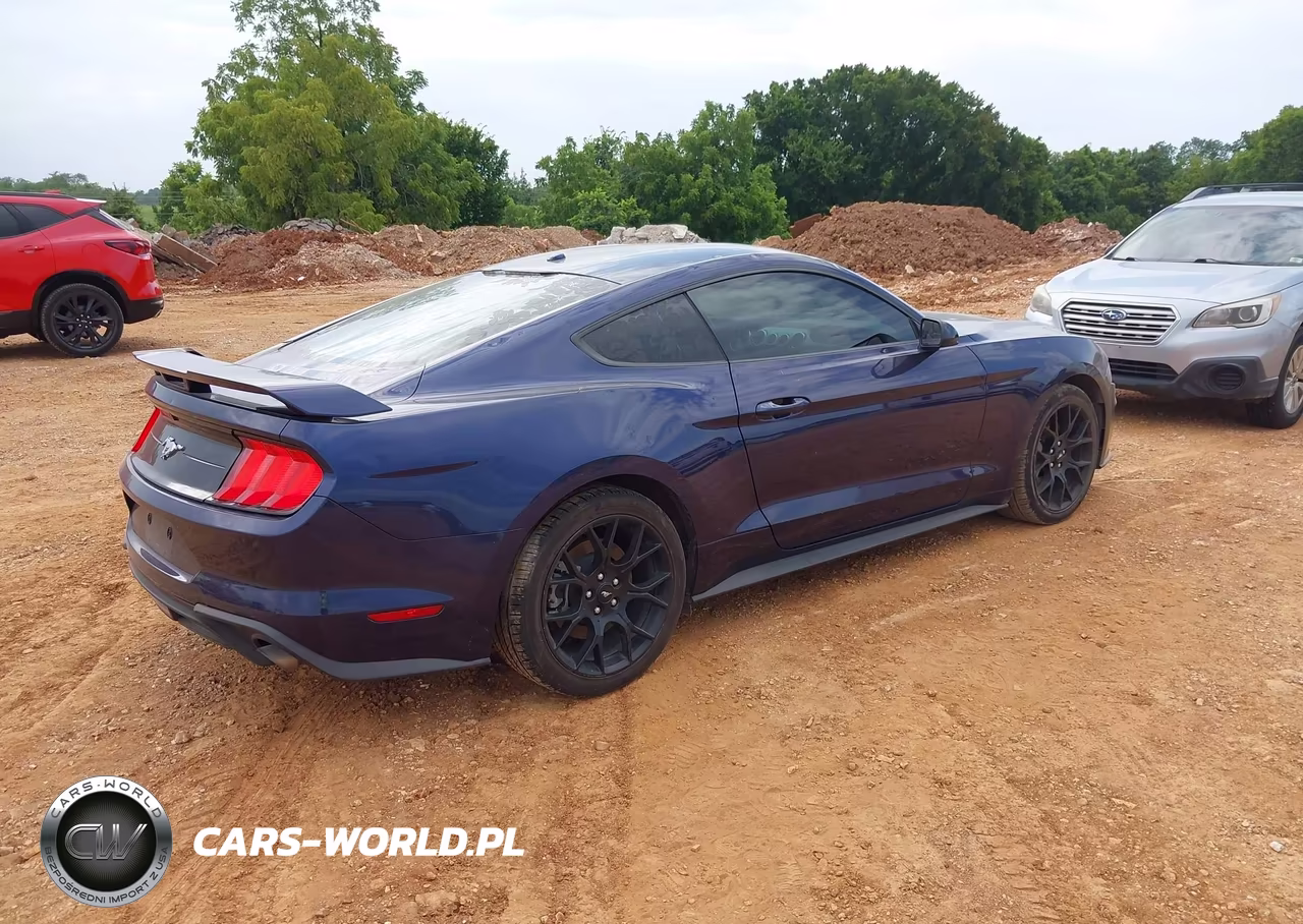 2019 Ford Mustang Ecoboost VIN:1FA6P8TH2K5199599 - 4