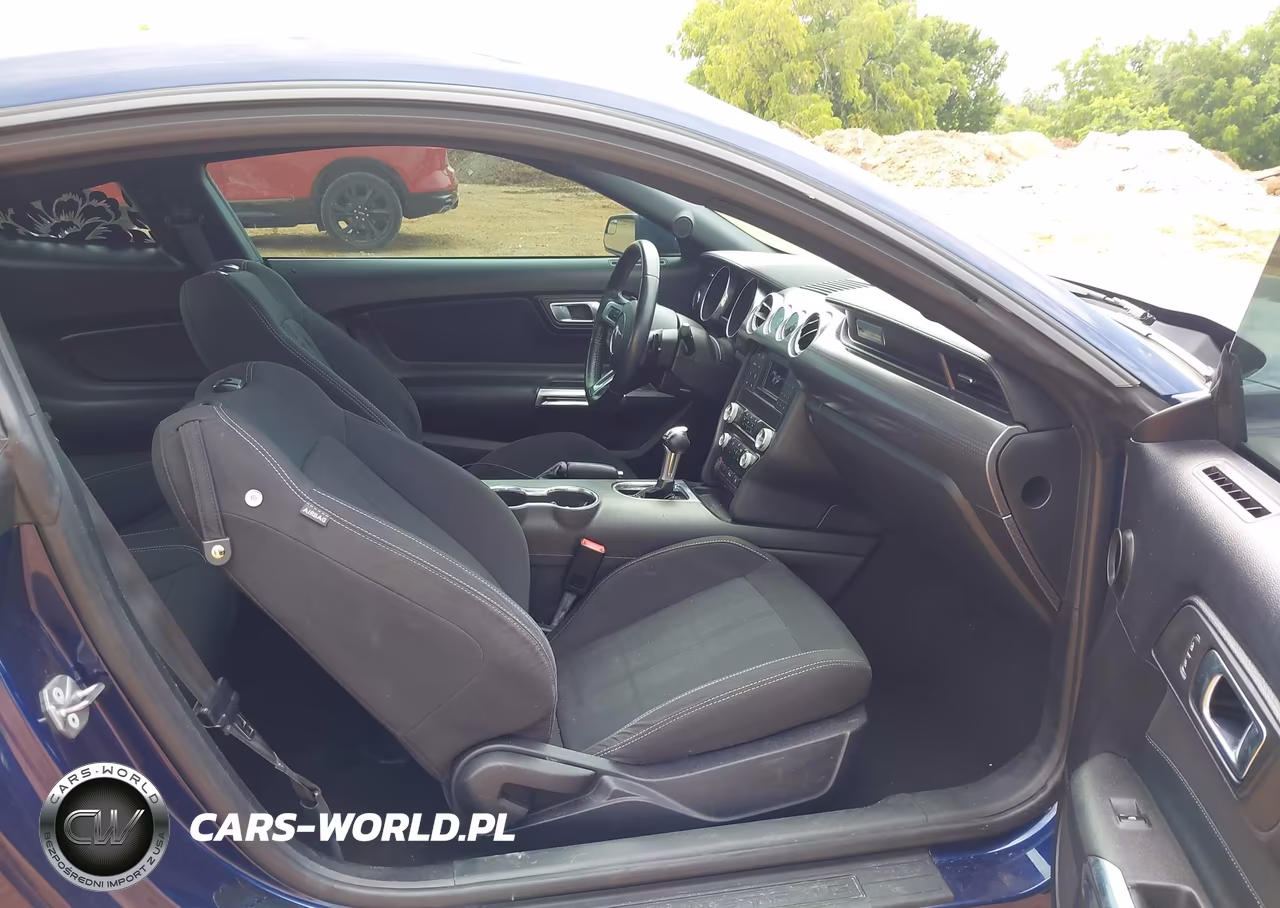 2019 Ford Mustang Ecoboost VIN:1FA6P8TH2K5199599 - 5