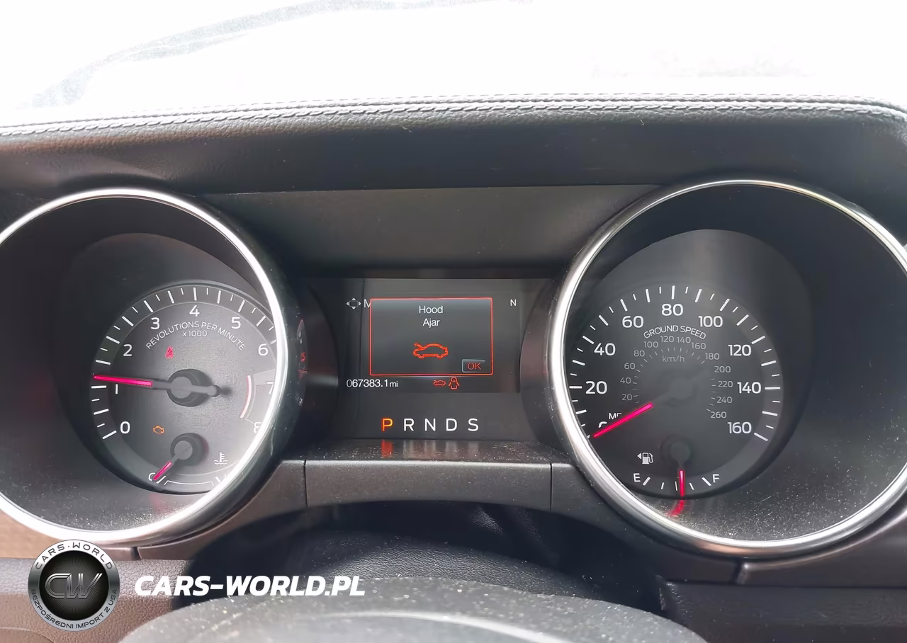 2019 Ford Mustang Ecoboost VIN:1FA6P8TH2K5199599 - 7