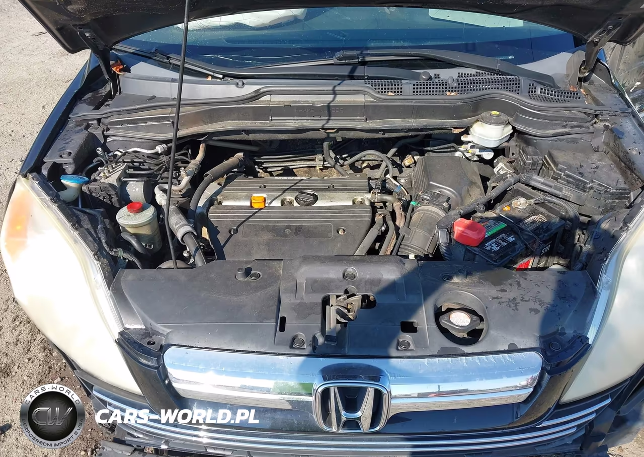 2008 Honda Cr-V Ex-L VIN:JHLRE38788C019226 - 10